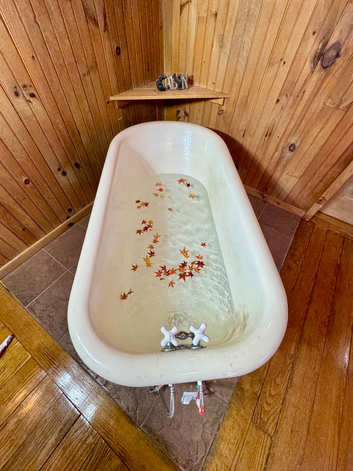 Clawfoot soaking tub filled with water and autumn leaves